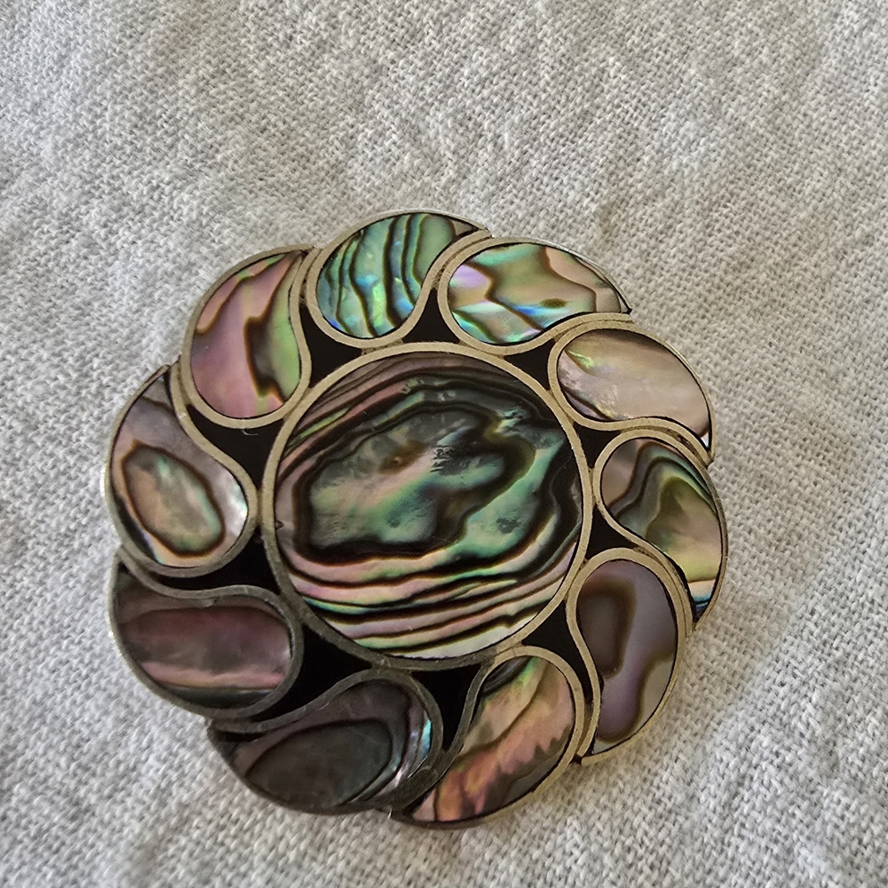 Elegant Abalone Shell Brooch